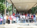 Tn PPTC 155